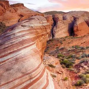 Activewear Manufacturer in Nevada